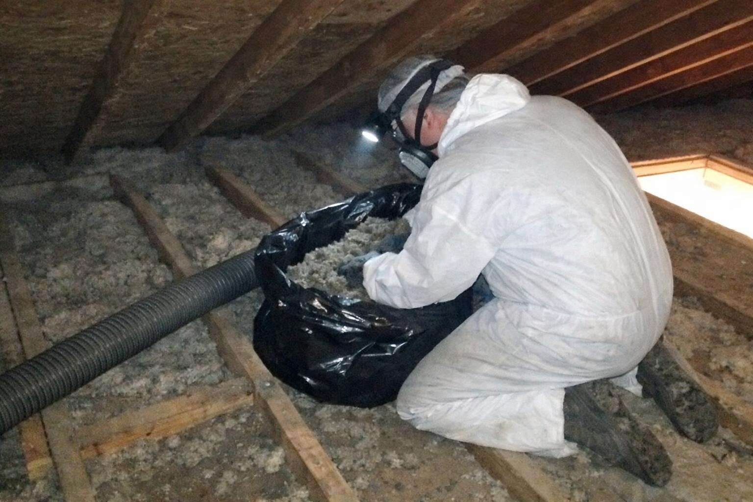 A worker in a white coverall and respirator kneeling in an attic, bagging soiled insulation by headlamp