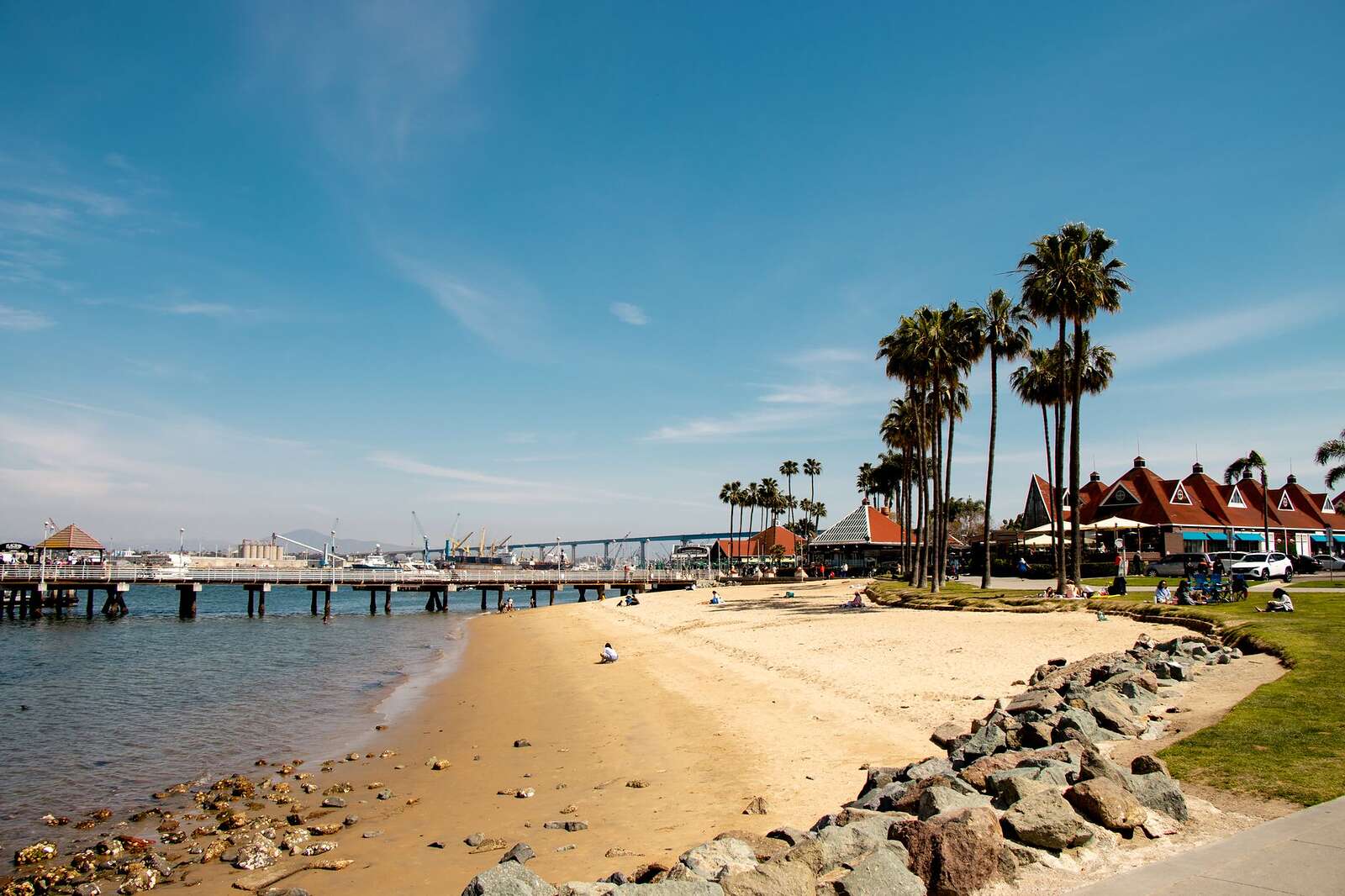 The Coronado shoreline with palms and the San Diego skyline across the bay
