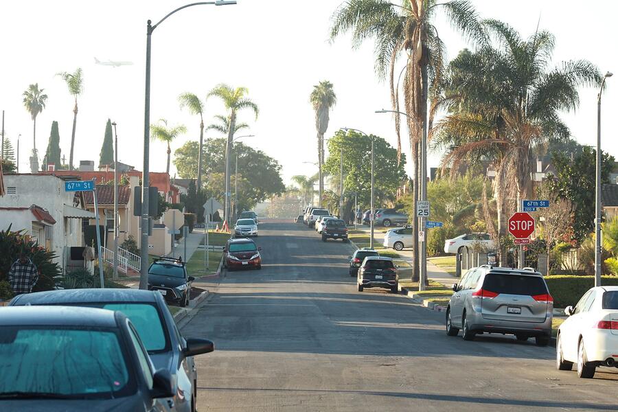 A residential street lined with tall palms and single-story houses under a clear sky