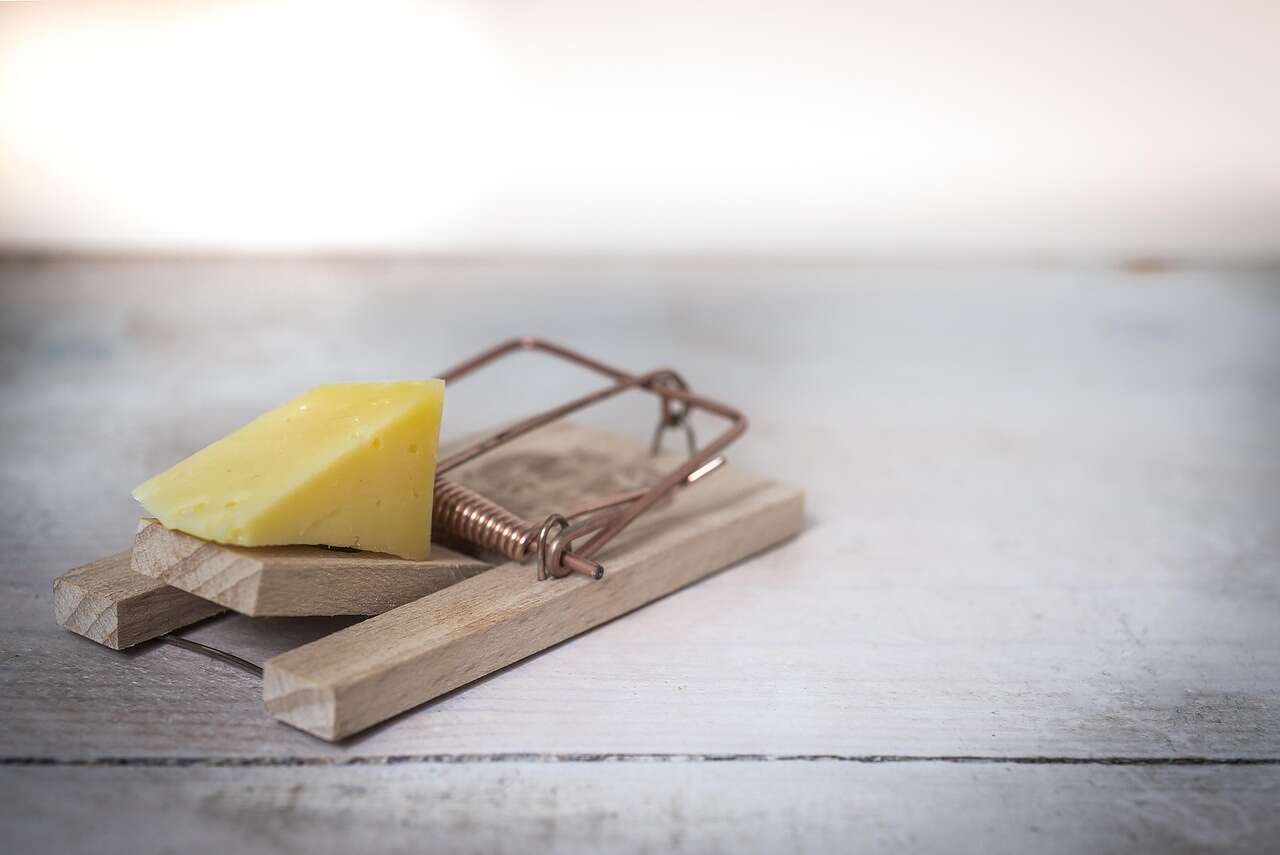 A wooden snap trap baited with cheese on a wooden surface